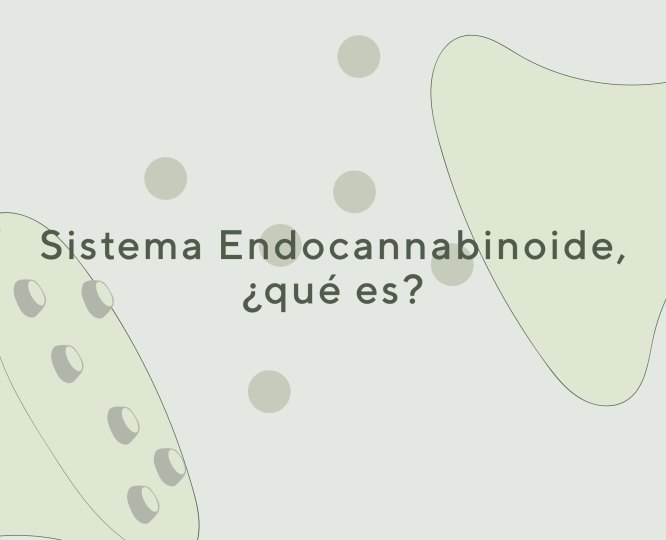 sistema-endocannabinoide