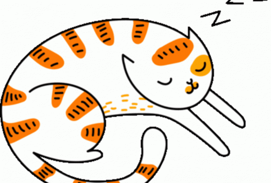 usos del cbd para gatos ilustrado mediante una imagen de un gato durmiendo