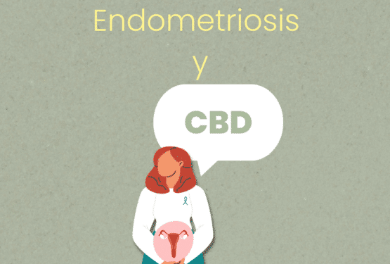 Endometriosis y CBD posibles efectos y ayuda contra el dolor